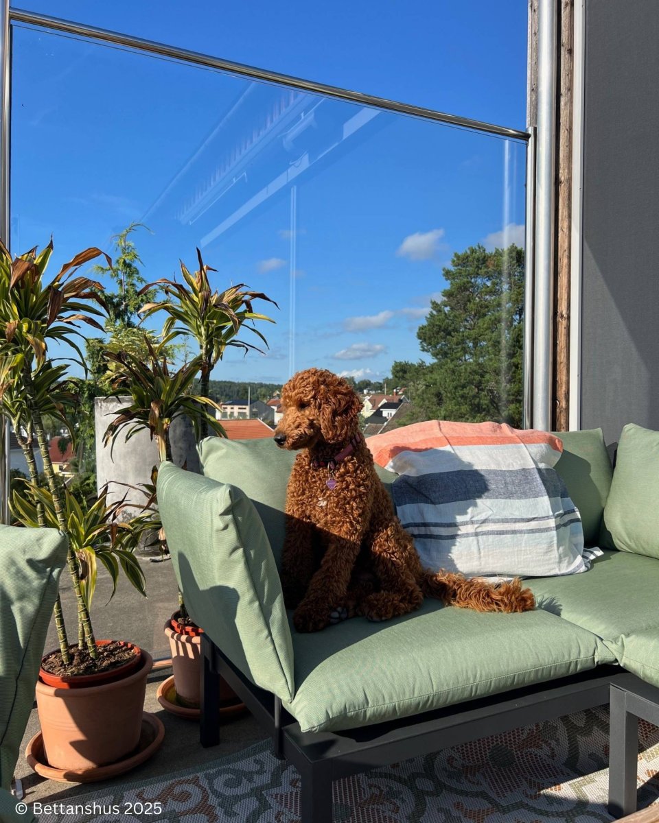 DOMINO Hjørnesofa (ferdig kombinasjon) fra FIAM - Image 6