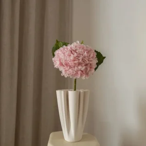 Hortensia fra Amarante (1 stk)